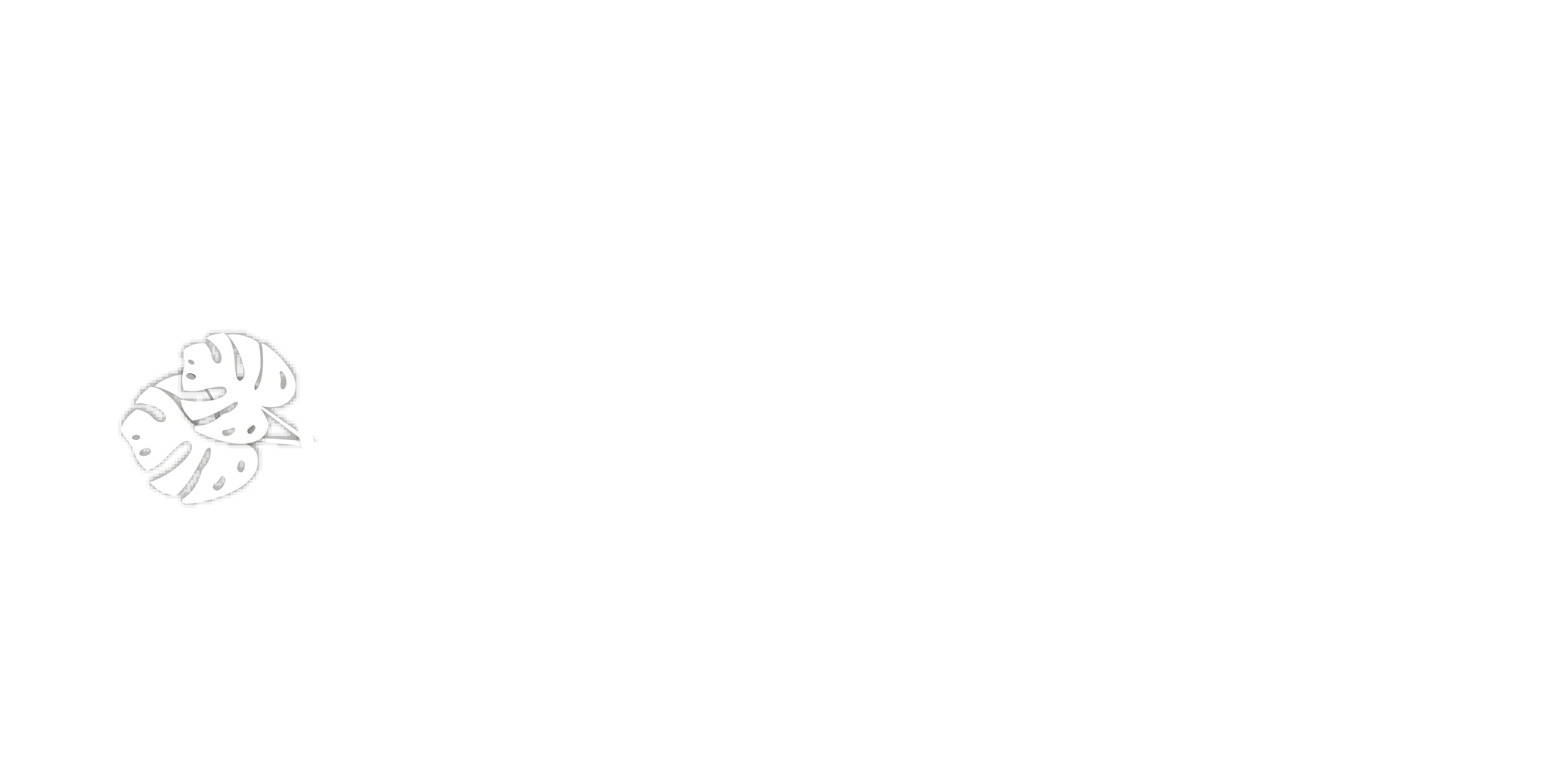 Logo CONLES 2027 blanco con texto
